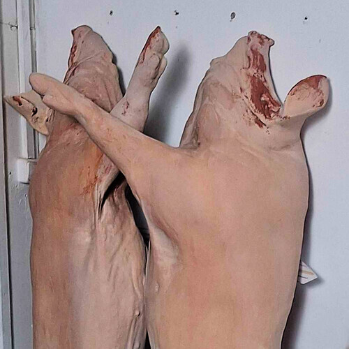 Slaughterhouse elements